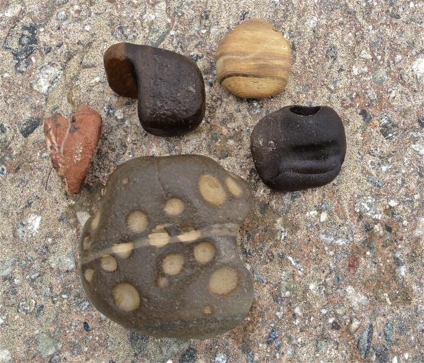 A selection of beach rocks that definitely have geologic stories to tell, Malibu, CA
