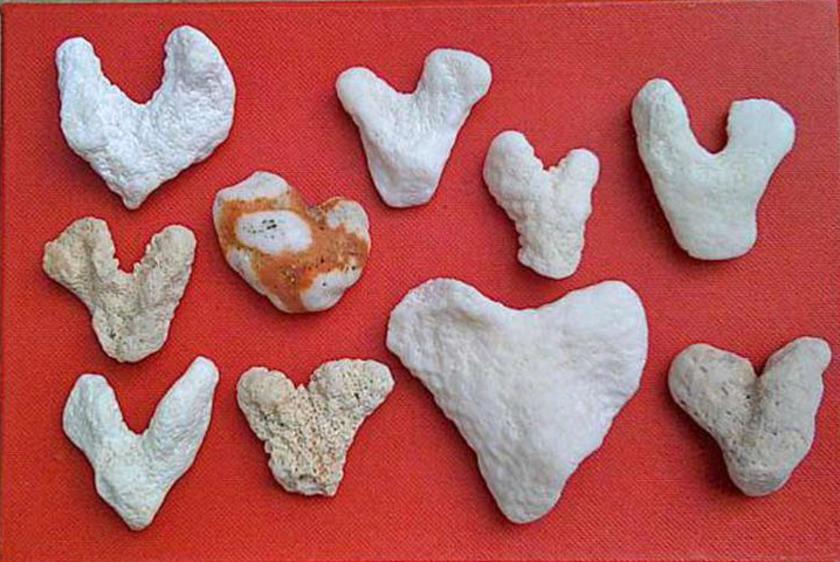 See how much the beach loves you? If you look closely, you'll see beach hearts everywhere ,like these CORAL HEARTS from Hawai'i